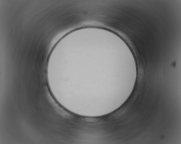 X0000115841295200912242009