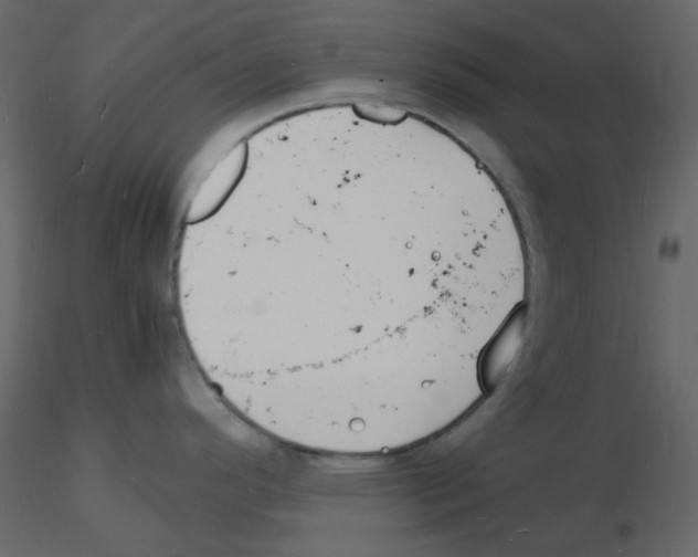 X0000115841296200912242009