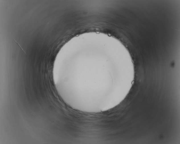 X0000115841298200912242008