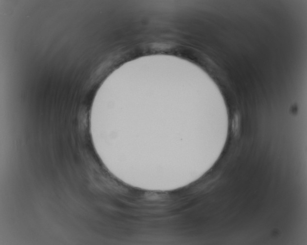 X0000115841299200912242008