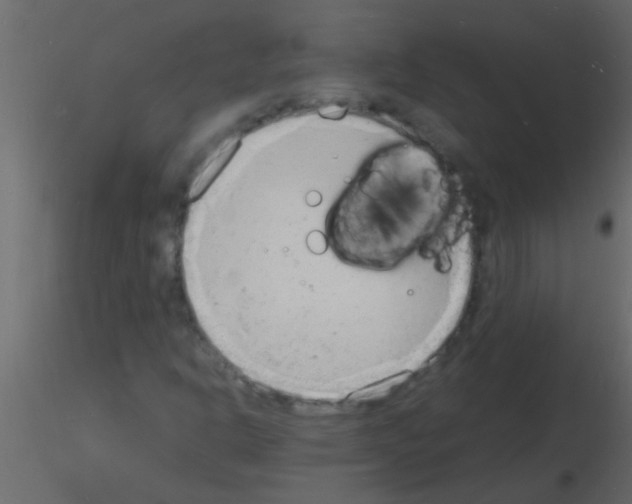 X0000115841302200912242008