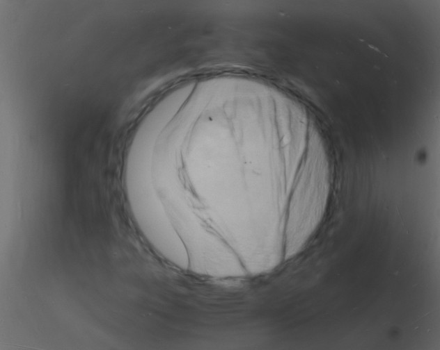 X0000115841303200912242008