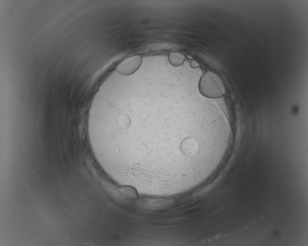 X0000115841305200912242008