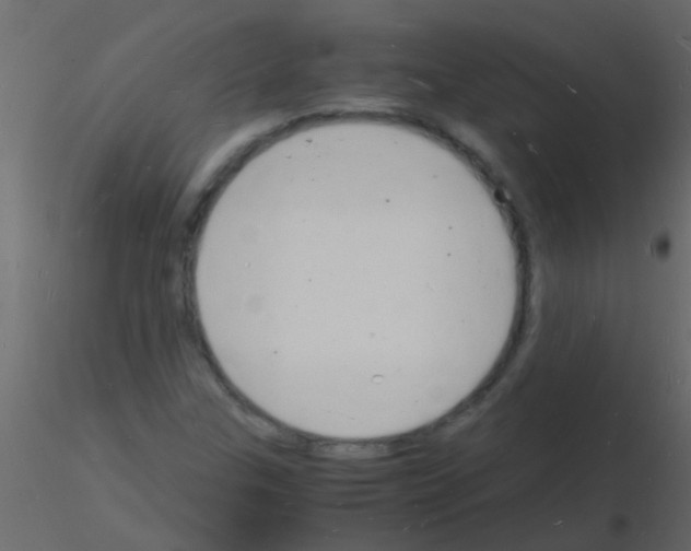 X0000115841307200912242008