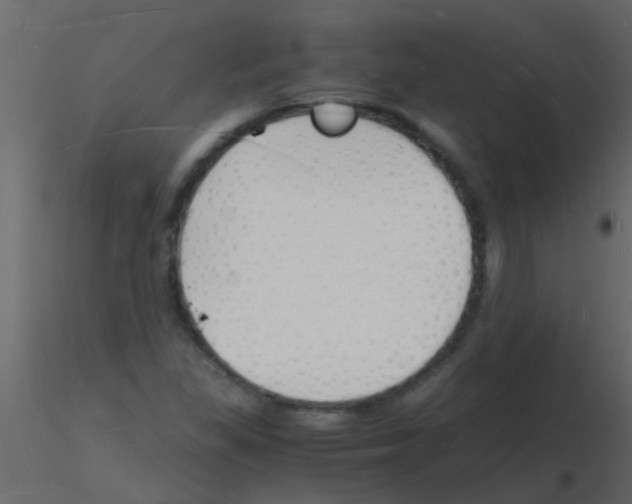 X0000115841309200912242008