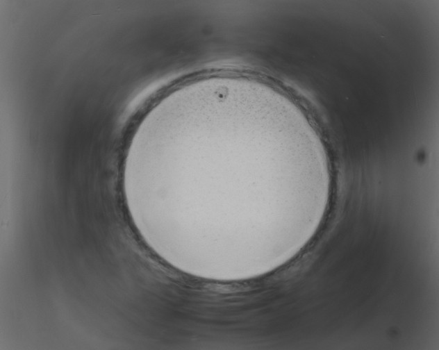 X0000115841311200912242008