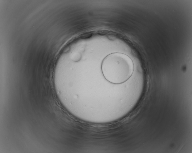 X0000115841313200912242008