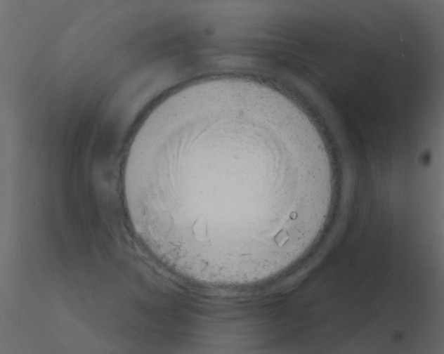 X0000115841314200912242008