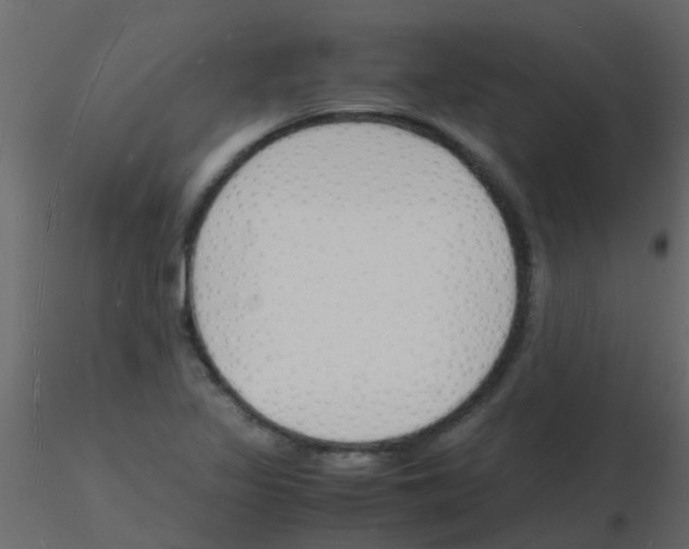 X0000115841317200912242008