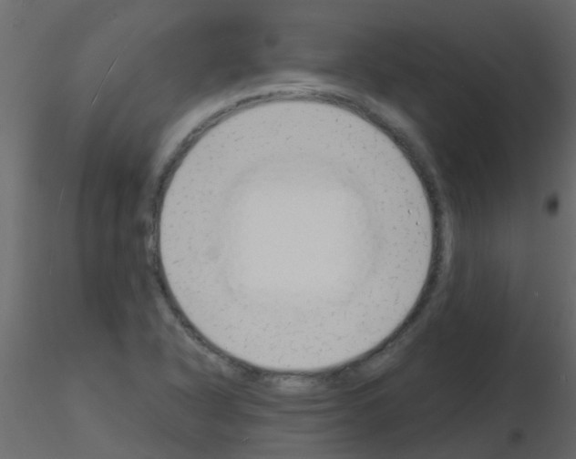 X0000115841318200912242008