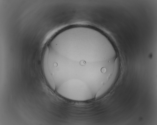 X0000115841319200912242008