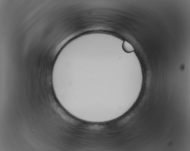 X0000115841321200912242008