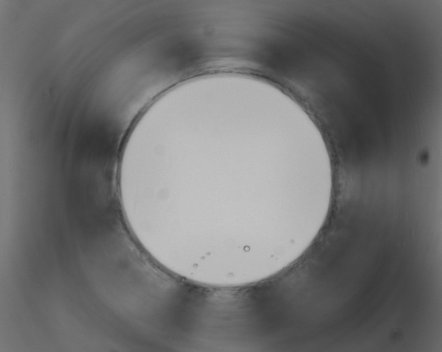 X0000115841322200912242008