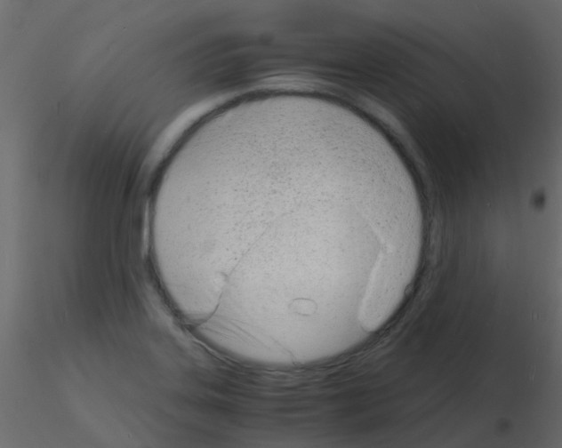 X0000115841323200912242008