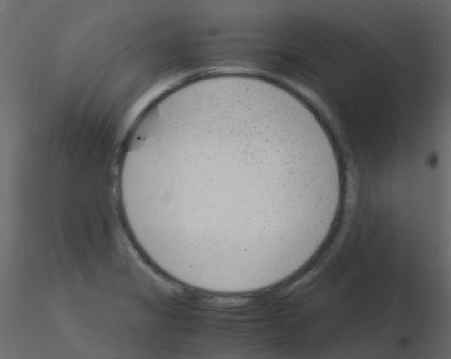 X0000115841325200912242008