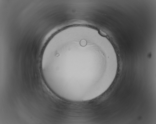 X0000115841326200912242009