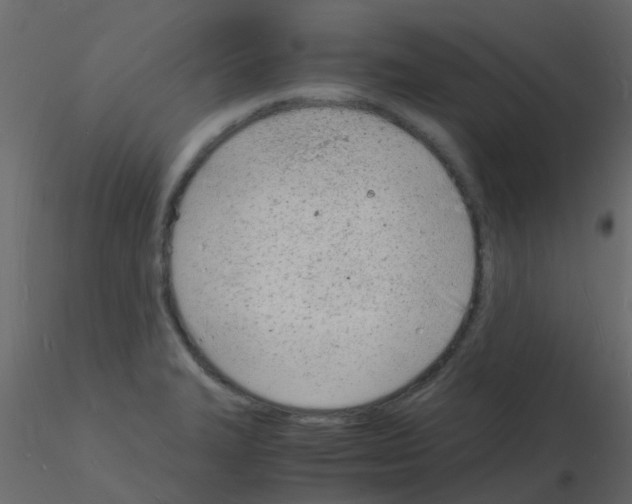 X0000115841327200912242009