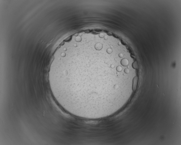 X0000115841329200912242009