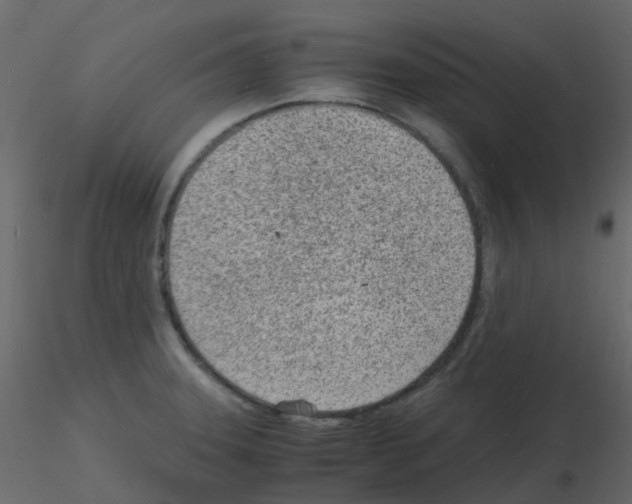 X0000115841331200912242009