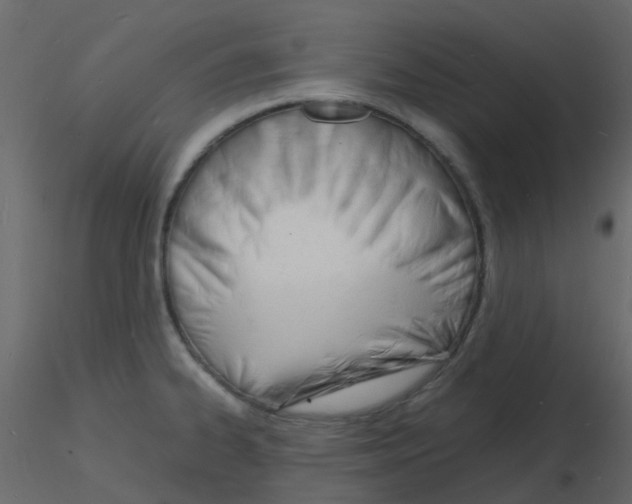 X0000115841334200912242009