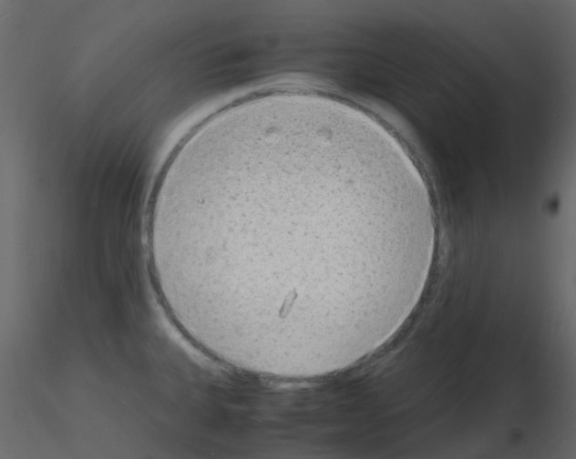 X0000115841335200912242009