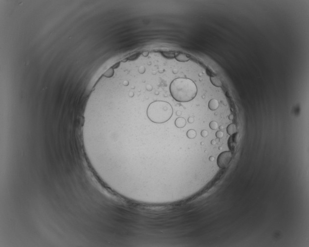 X0000115841337200912242009