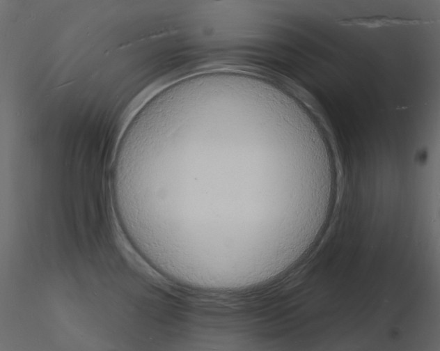 X0000115841338200912242009