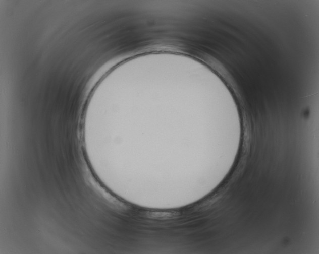 X0000115841339200912242009