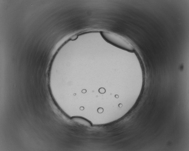 X0000115841341200912242009