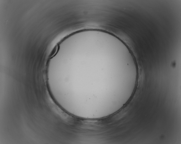 X0000115841342200912242009