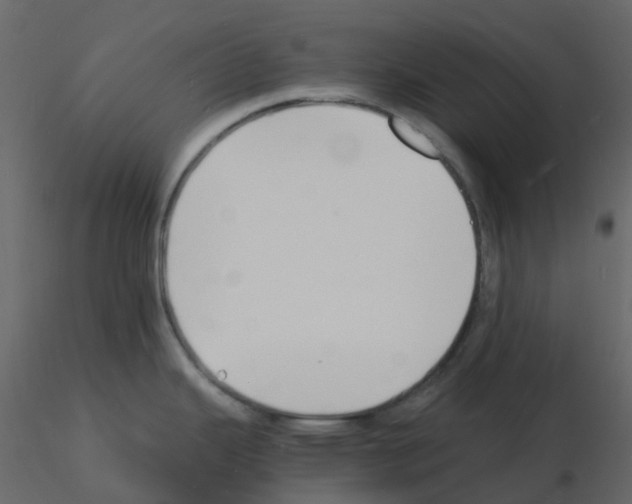 X0000115841343200912242009