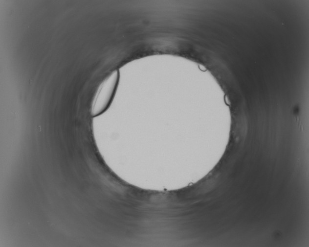 X0000115841345200912242008