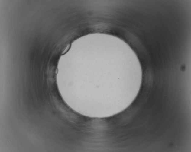 X0000115841346200912242008