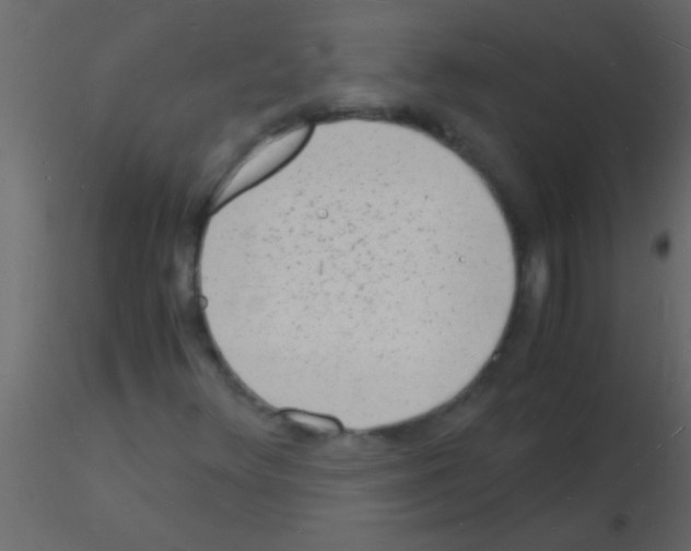 X0000115841348200912242008