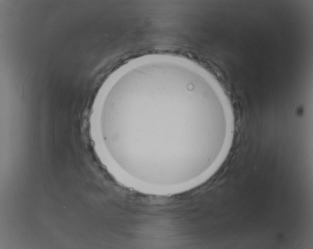 X0000115841349200912242008