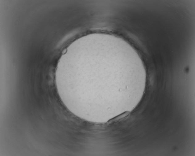 X0000115841350200912242008