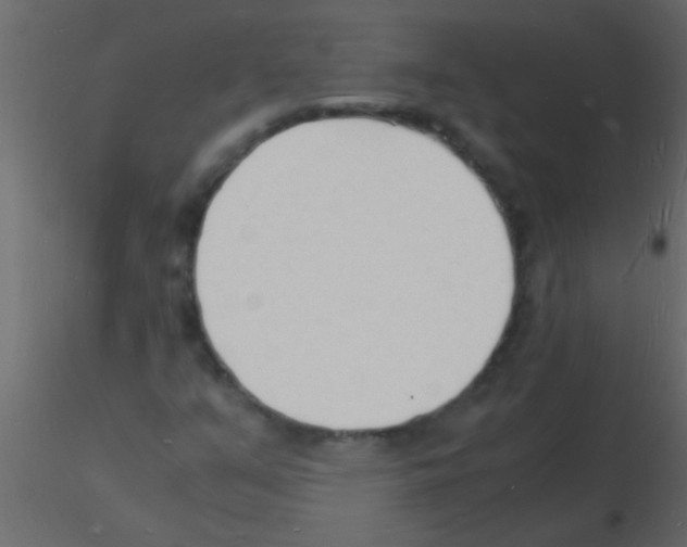 X0000115841351200912242008