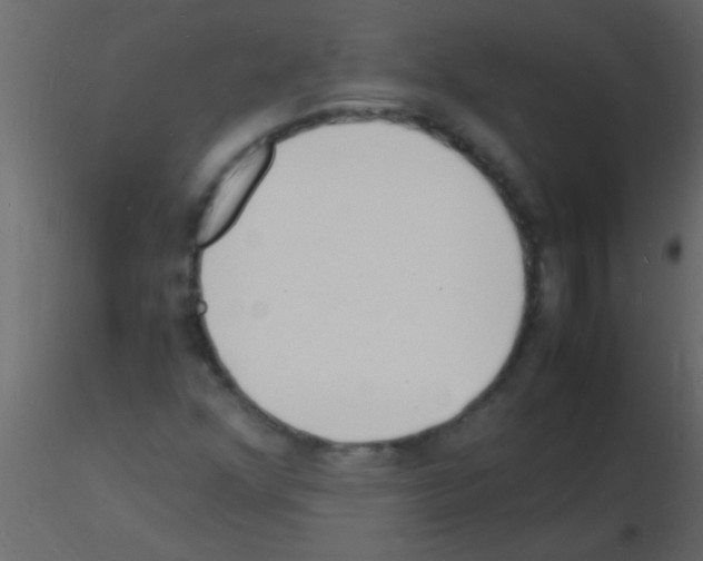 X0000115841352200912242008