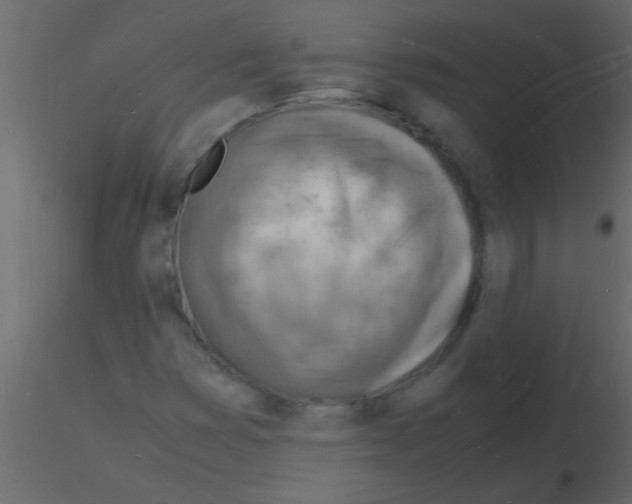 X0000115841353200912242008