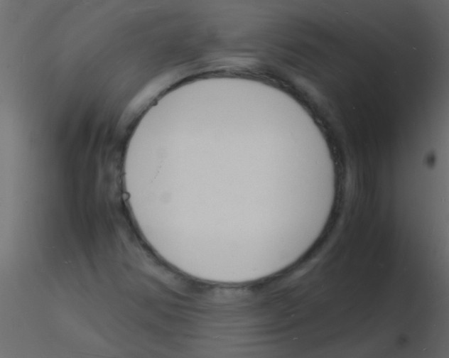 X0000115841354200912242008