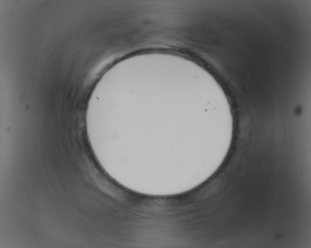 X0000115841355200912242008