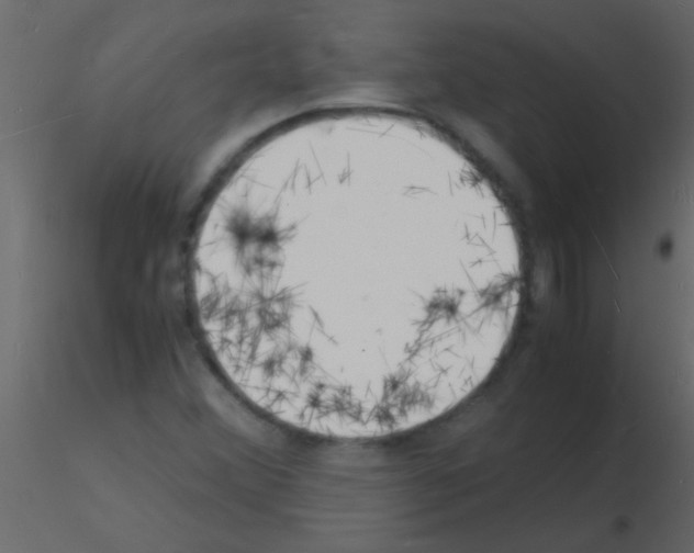 X0000115841356200912242008