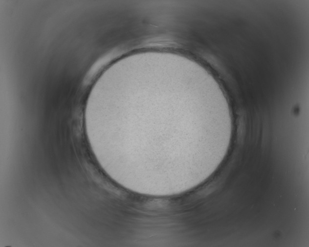 X0000115841358200912242008