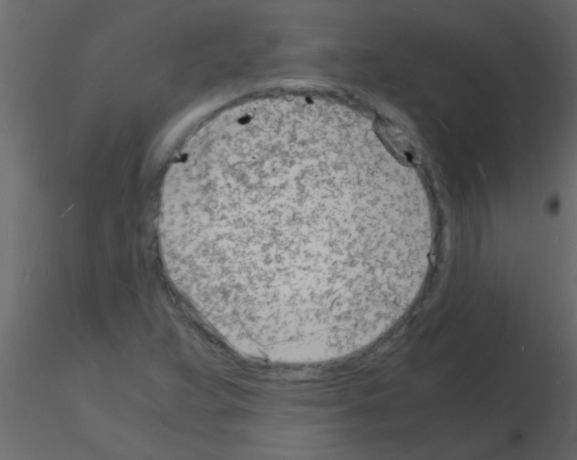 X0000115841359200912242008