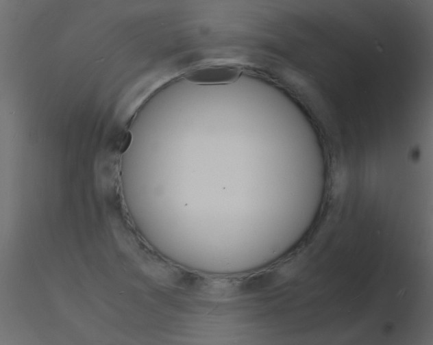 X0000115841361200912242008