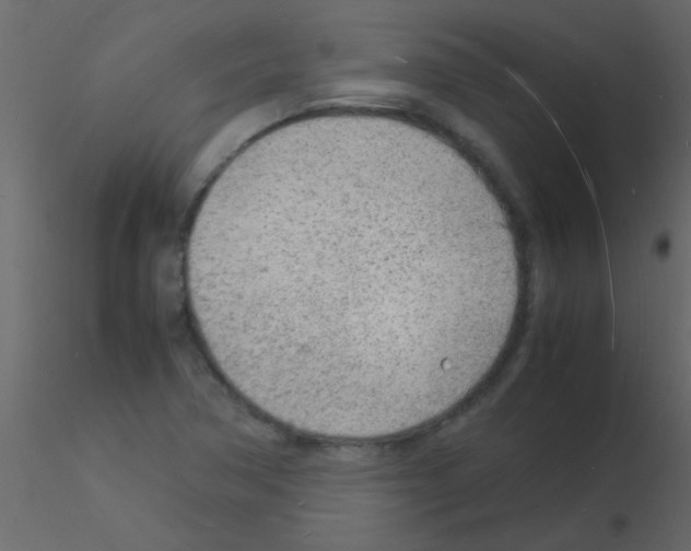 X0000115841362200912242008