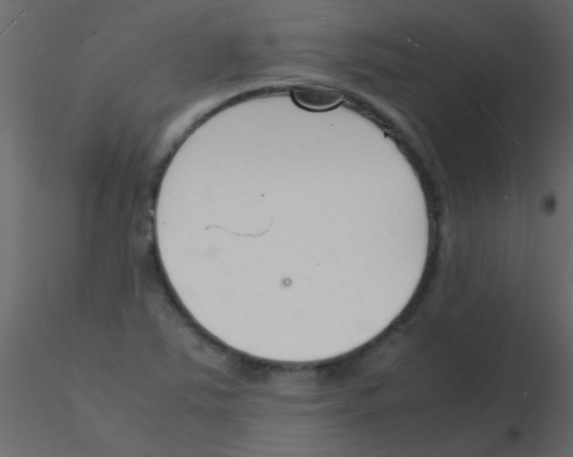 X0000115841363200912242008