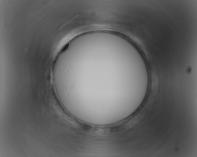 X0000115841365200912242008