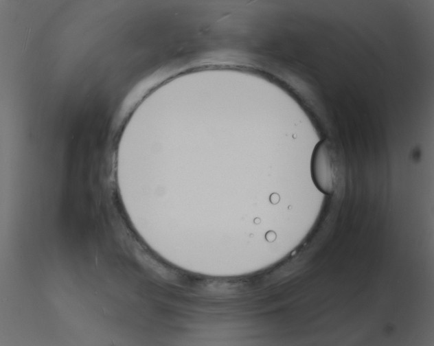 X0000115841366200912242008