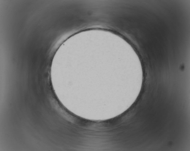 X0000115841367200912242008